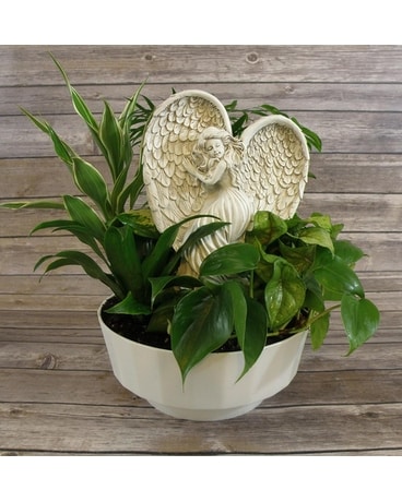 Planter with Angel Statue Insert Plant
