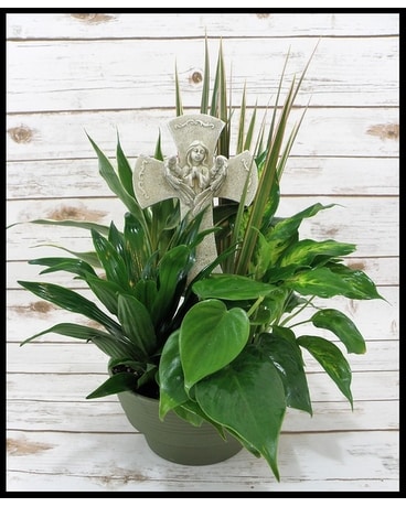 Cross Angel Planter Dish Garden Plant