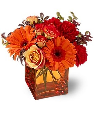 Sunrise Sunset by Petals & Stems (TFWEB199) Flower Arrangement