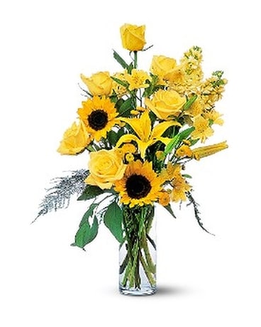 Blazing Sunshine by Petals & Stems (TF36-1) Flower Arrangement