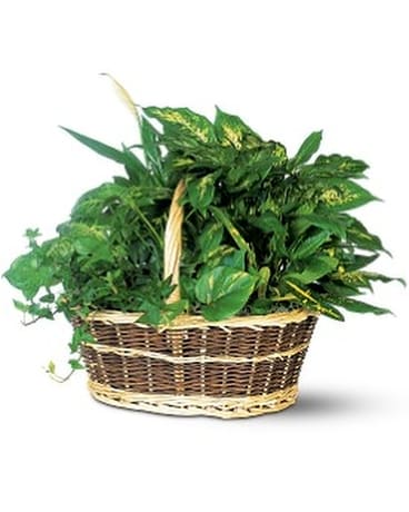 Large Garden Basket by Petals & Stems (TF138-1) Flower Arrangement