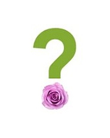 Florist's Choice Bouquet (CHOICEDF) Flower Arrangement