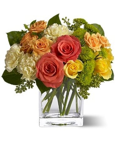 Citrus Splash by Petals & Stems (TFWEB418) Flower Arrangement