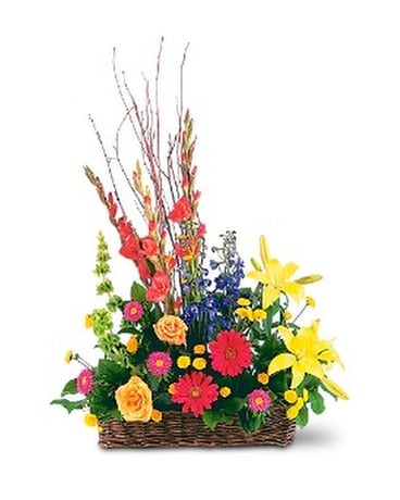 Sunshine Basket by Petals & Stems (TF203-11) Flower Arrangement