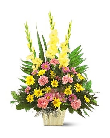 Warm Thoughts by Petals & Stems(TF184-3)(TF184-3) Flower Arrangement