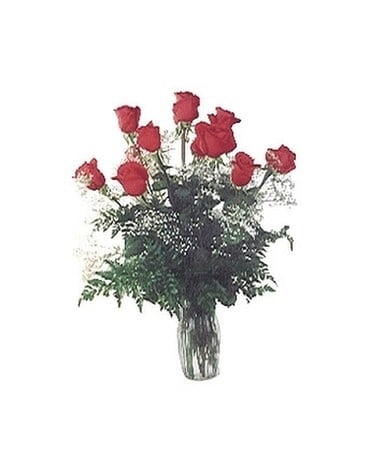 1 Dozen Red Roses(101E) Flower Arrangement