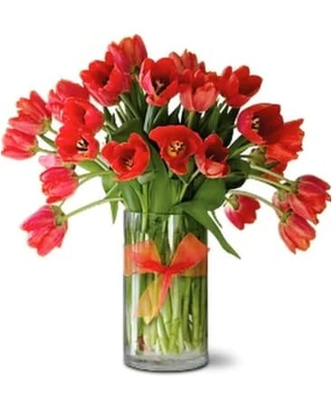 Radiantly Red Tulips Premium (30TULRDE) Flower Arrangement