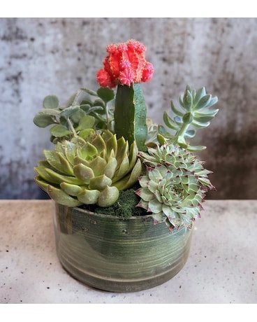 Succulent Garden (PSF-216) Flower Arrangement