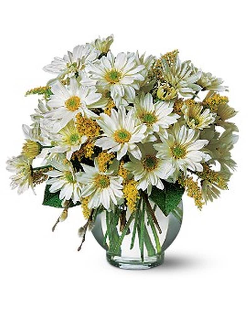 Cheerful Daisy's by Petals & Stems (TF58-3) in Dallas TX - Petals