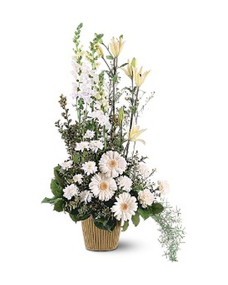 White Impressions (TF194-2) in Dallas TX - Petals & Stems Florist