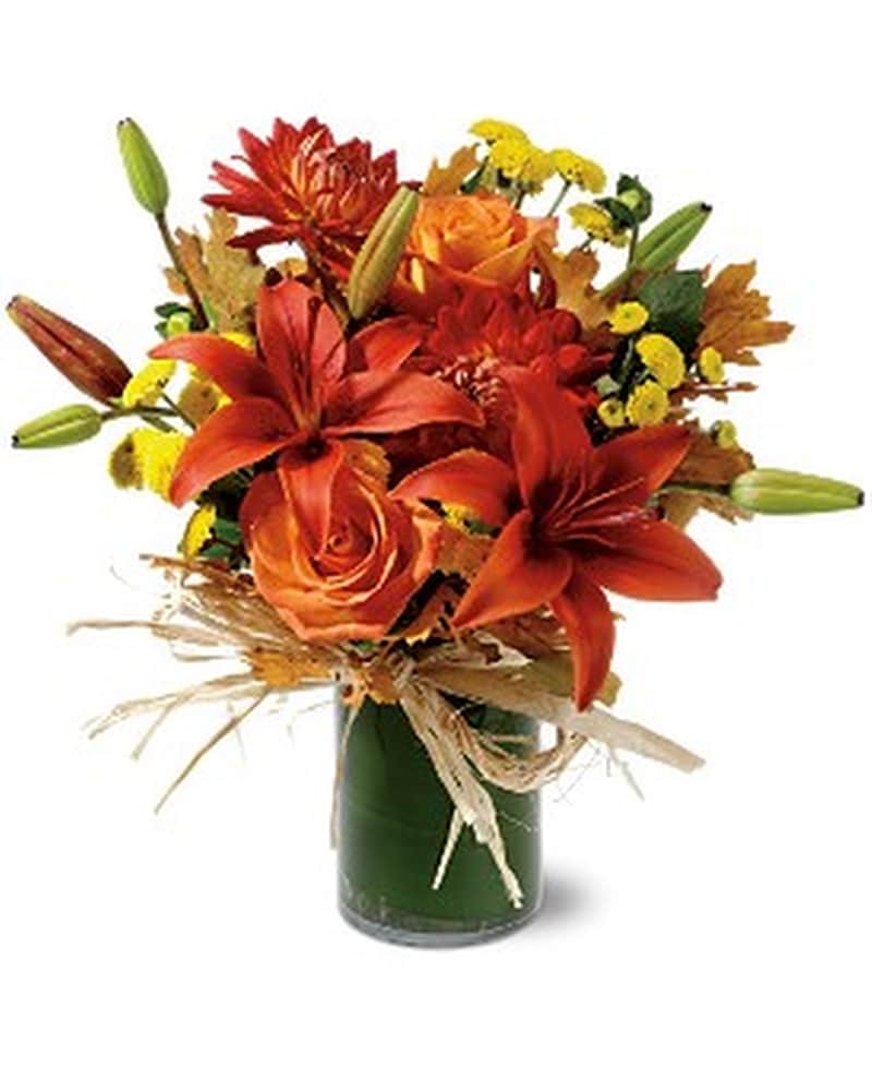 Orange Zest (TFWEB68) in Dallas TX - Petals & Stems Florist