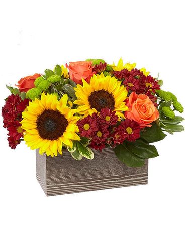 FTD Happy Harvest Garden Flower Arrangement
