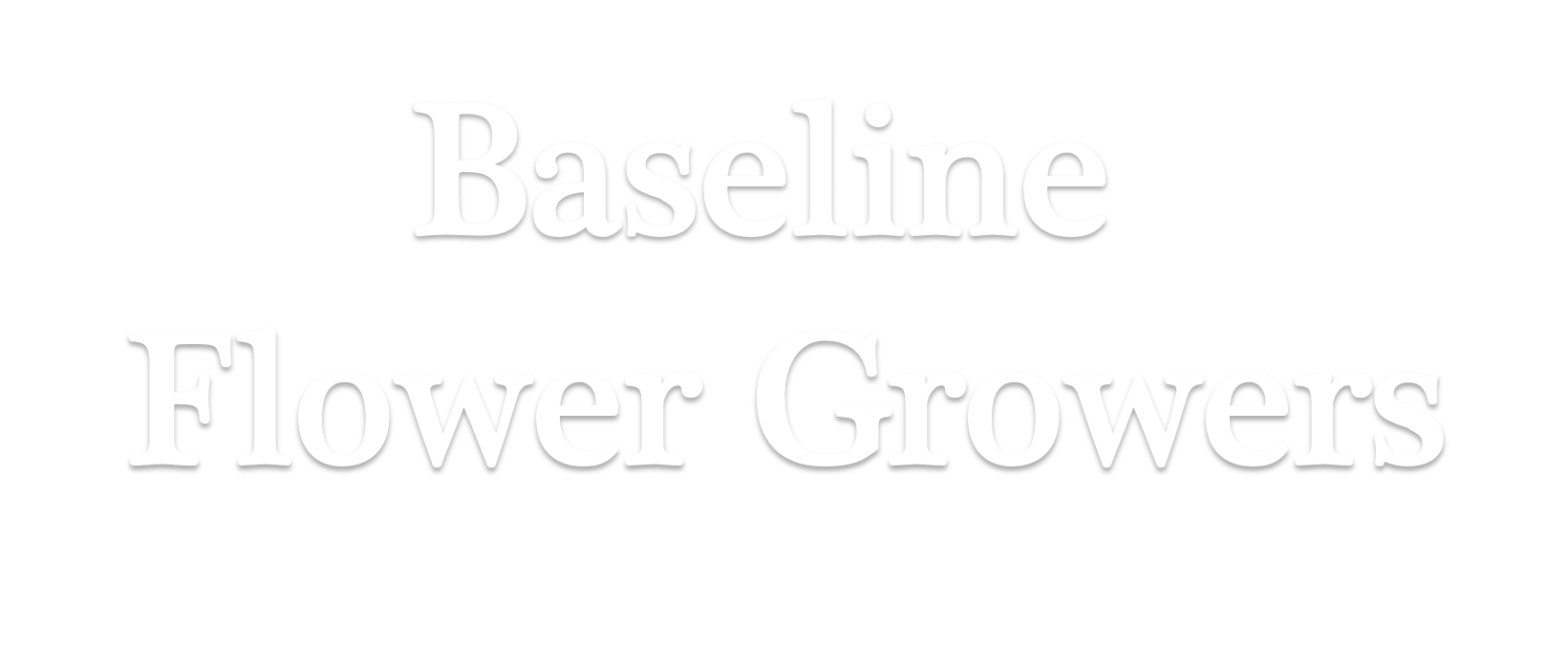 Phoenix Florist Flower Delivery By Baseline Flower Growers