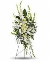 Standard size, 58 and a half inches height and 29 inches wide.