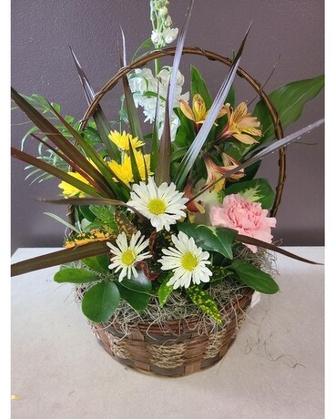 Dish garden with fresh flowers Basket Arrangement