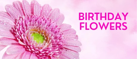 Beautiful Seasonal Flowers Banner