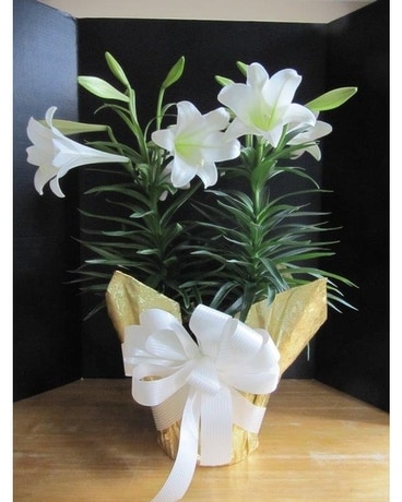 Easter Lily Double Flower Arrangement