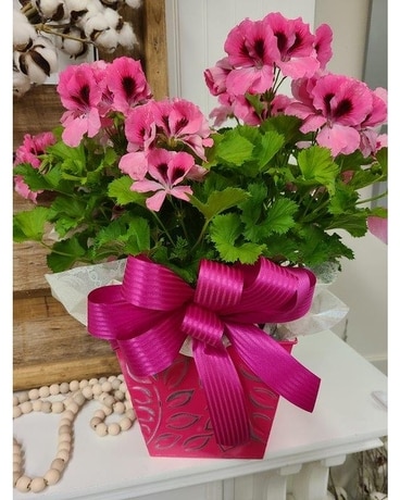 Regal Geranium Flower Arrangement