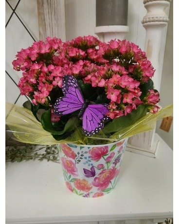 Pink Kalanchoe A Flower Arrangement