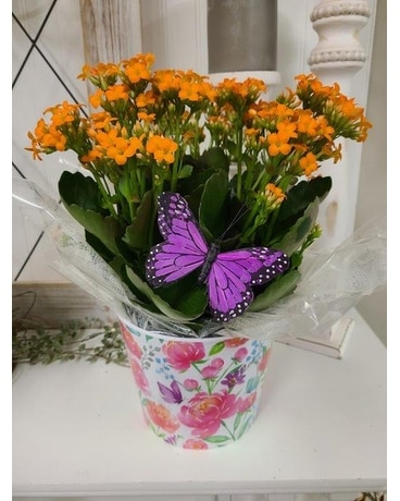 Orange Kalanchoe A Flower Arrangement