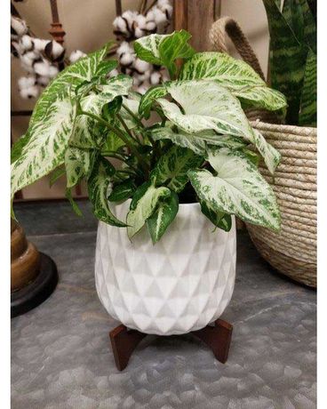 Modern White Ceramic Planter Flower Arrangement