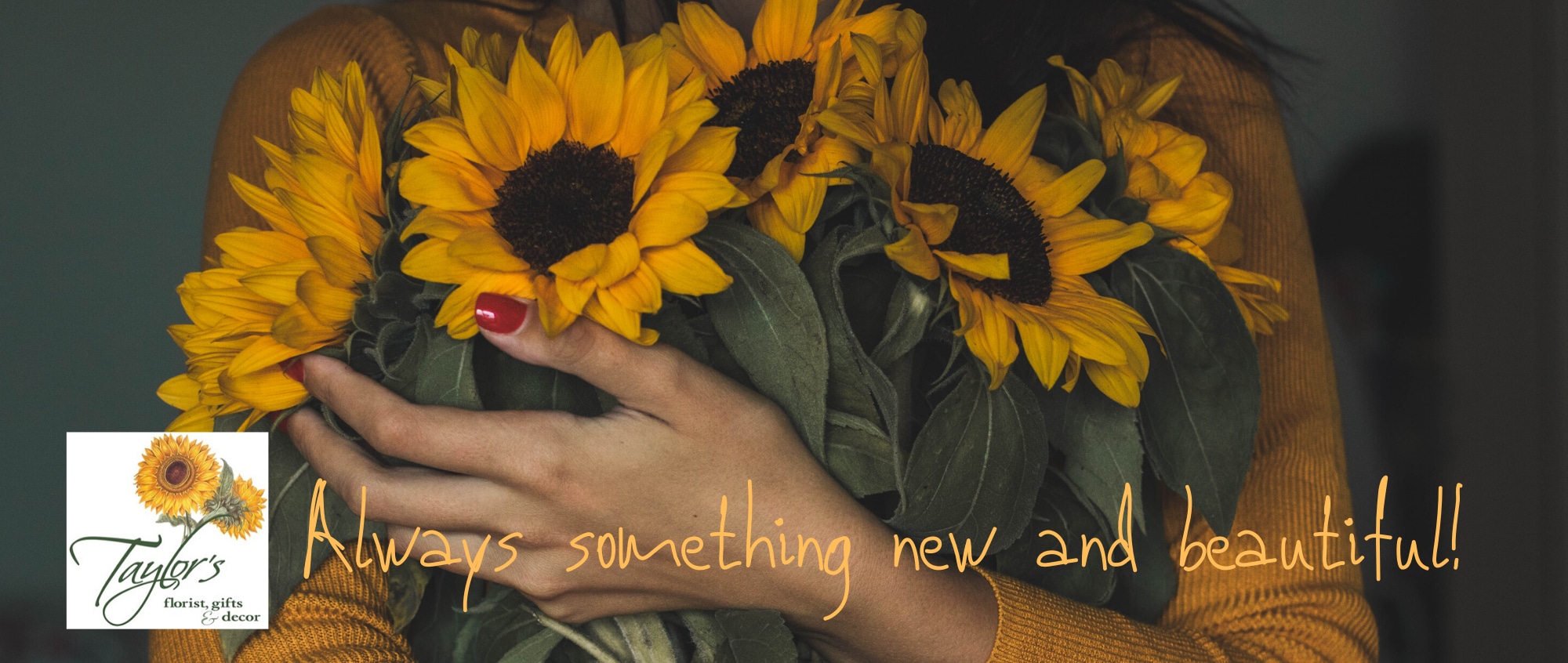 Paw Paw Florist Flower Delivery by Taylor's Florist and Gifts