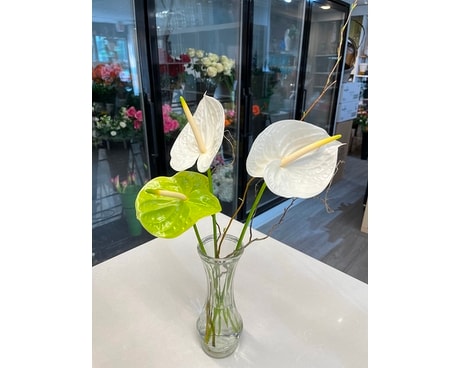 Luminous Harmony Flower Arrangement