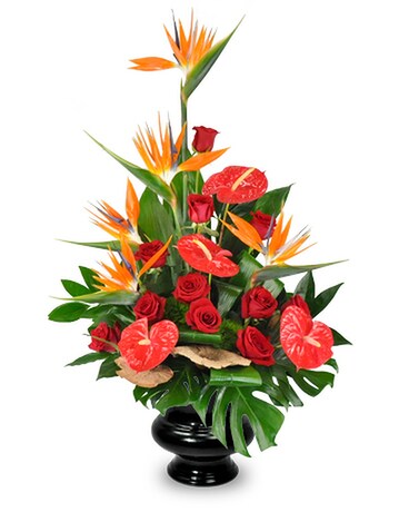 Heartfelt Tropics Container Flower Arrangement