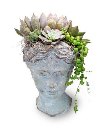 Grown In Elegance Flower Arrangement
