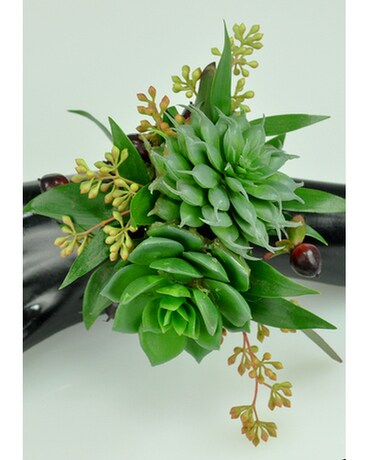 Bohemian - All Succulents Flower Arrangement