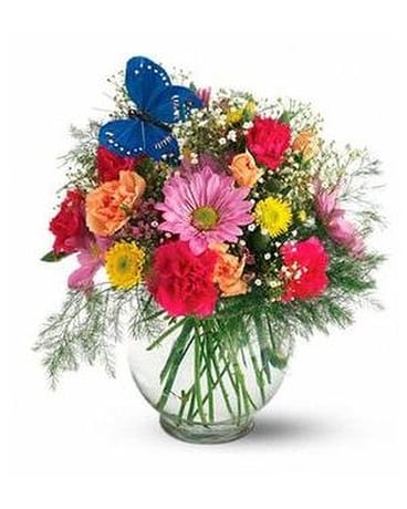 Teleflora's Butterfly & Blossoms Vase Flower Arrangement