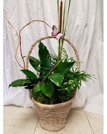 Pink Butterful Plant Flower Arrangement