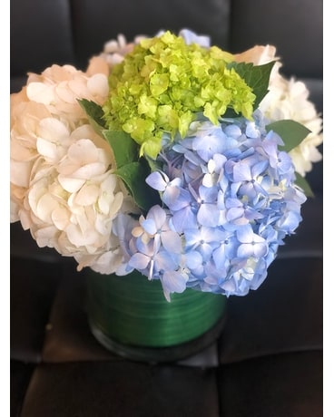 Hydrangea Dreams Flower Arrangement
