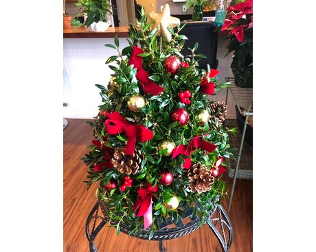 Christmas Boxwood Tree Custom product