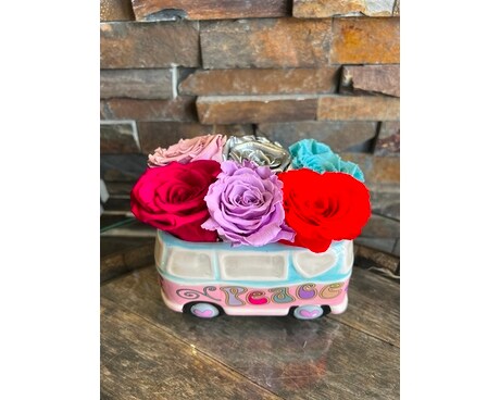 Forever Rose Peace Bus Dried Flowers