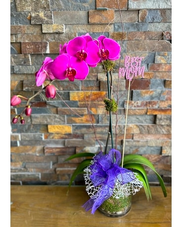 Purple size,  inches height and  inches wide.