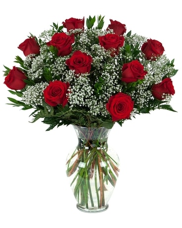 traditional roses Flowers