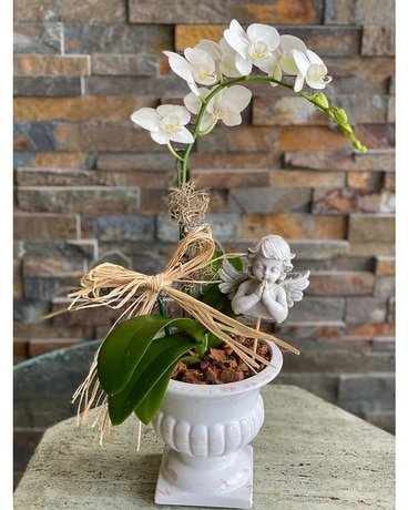 Custom Arrangement Flower Arrangement