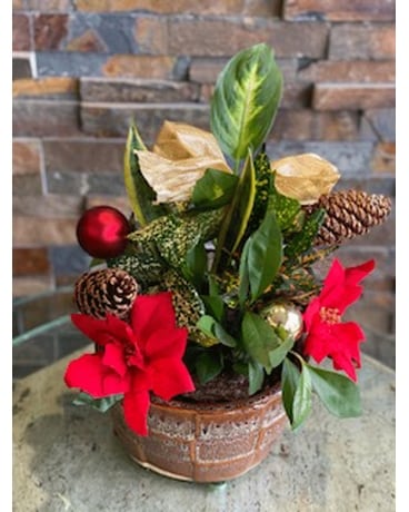 decorated dish garden Flower Arrangement