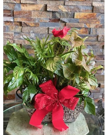 metal planter Flower Arrangement