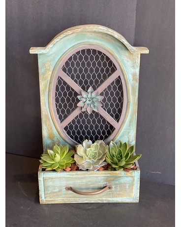 Vintage Succulent planter Custom product