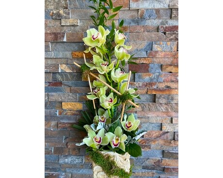 Orchid Vine Flower Arrangement