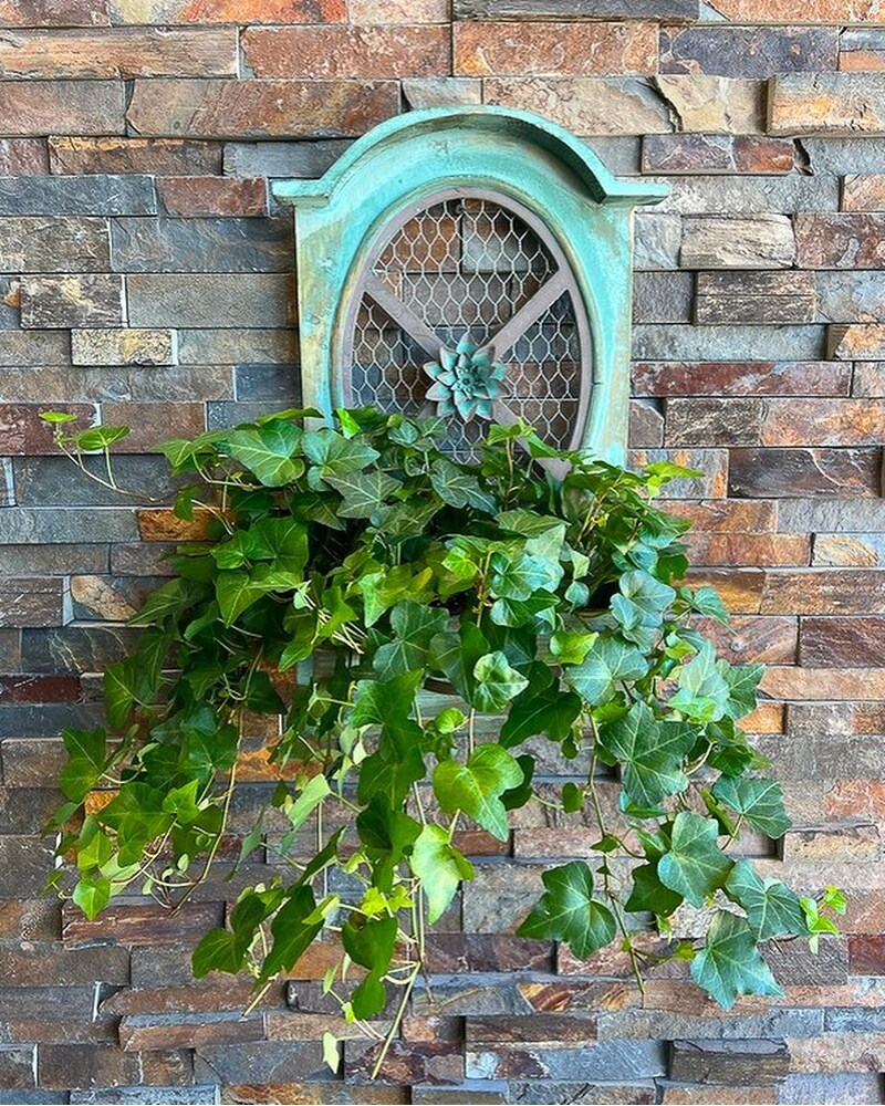 Hanging Ivy Wall Piece in Staten Island NY - Eltingville