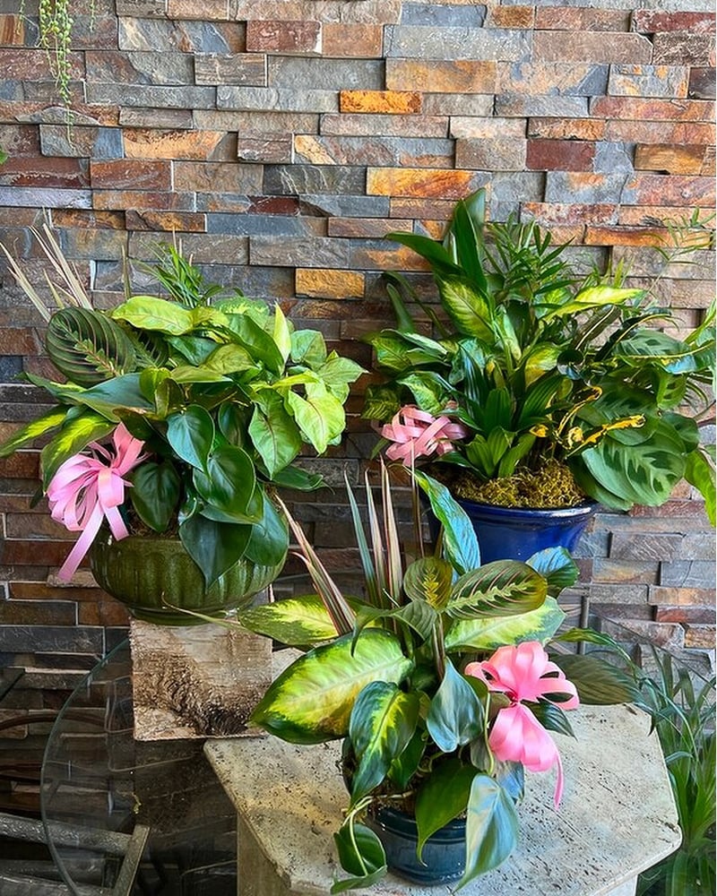Sympathy Plants Delivery Staten Island NY - Eltingville Florist Inc.