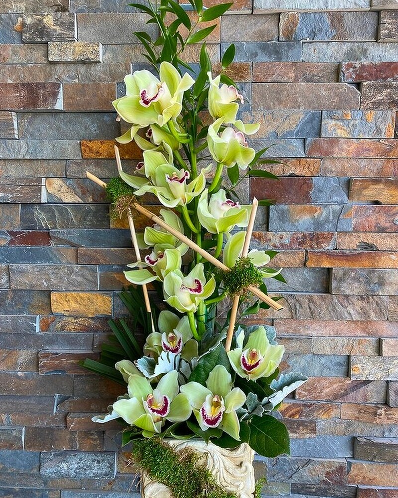 OEP トランスブースター Elephants found Flowers Paradise Found in Tinley Park IL - Hearts & Flowers, Inc.