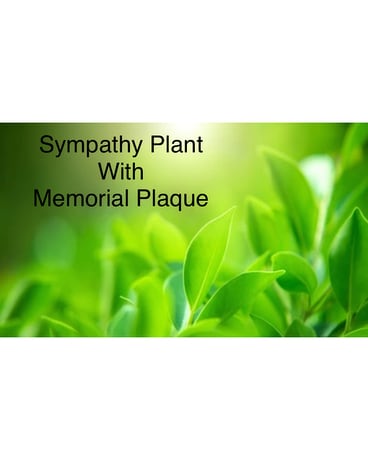 Sympathy Plant with Memorial Plaque Flower Arrangement