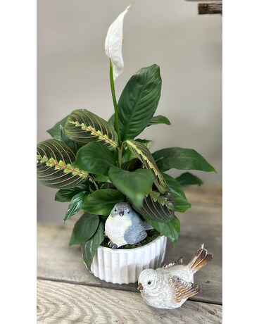 Forget Me Not Flower Arrangement