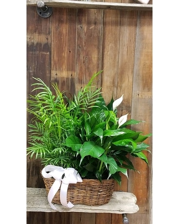 Sympathy Garden Flower Arrangement