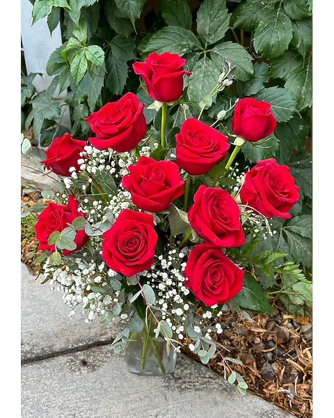 Dozen Red Rose Vase in Dickinson ND