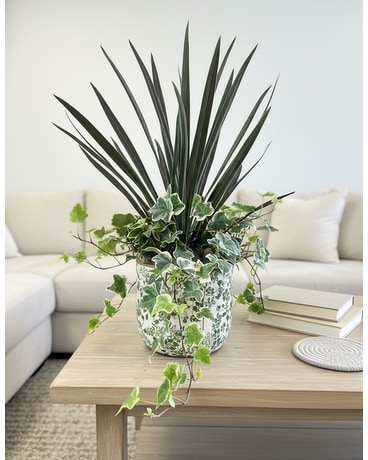 The Ivy & Dracaena Garden in Nashville TN - Flower Express